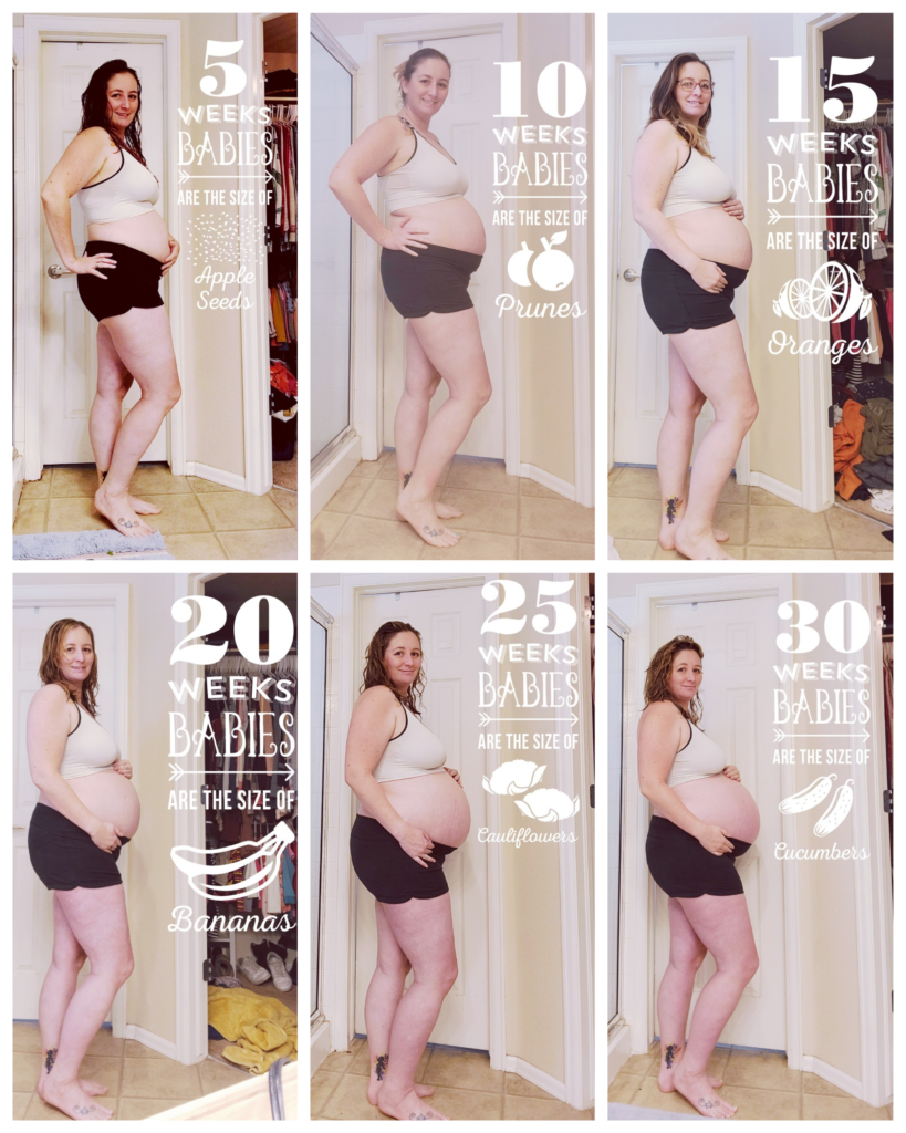 Twin pregnancy belly progression photos 