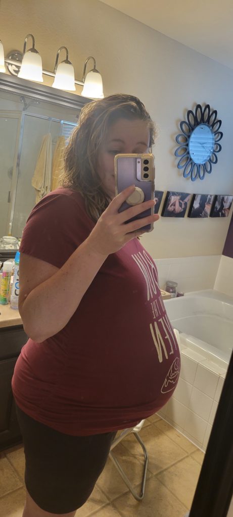 Third trimester twin belly pregnancy photo