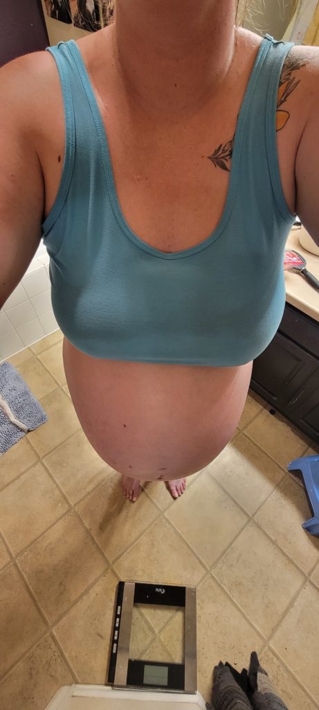 Third trimester twin belly pregnancy photo