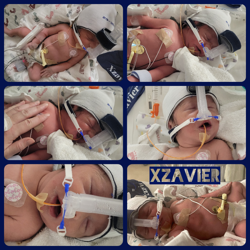 twin b newborn photos fresh 48 33 week preemie NICU baby