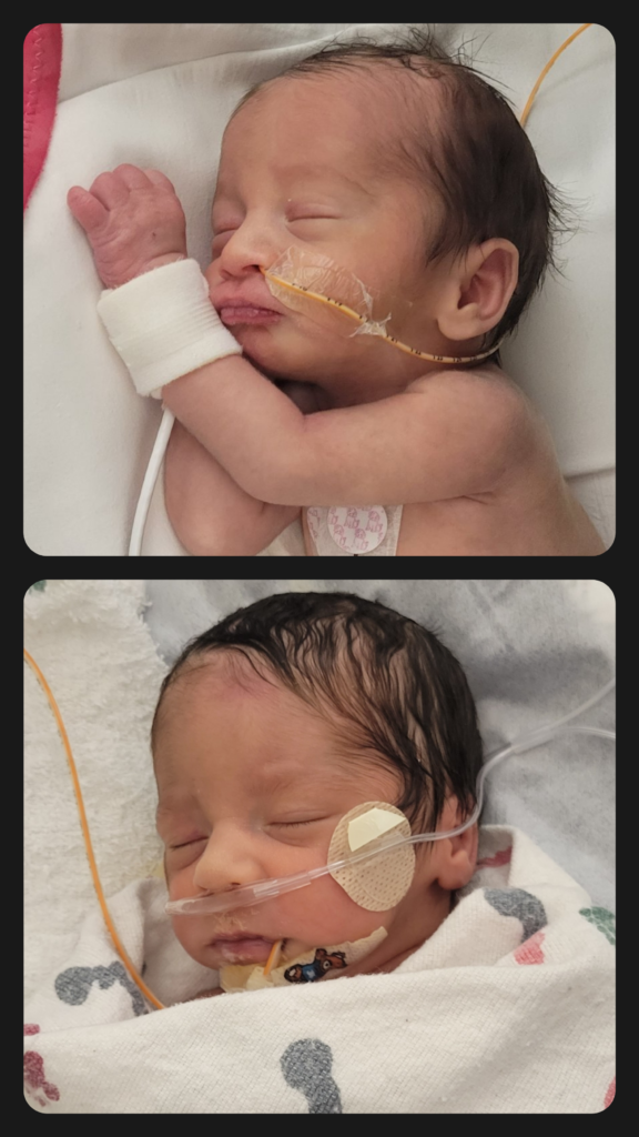twins newborn photos fresh 48 33 week preemie NICU baby twin a twin b fraternal twins oxygen feeding tube