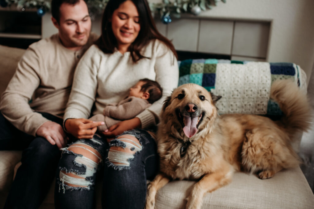 Parents with new baby and dog on their couch in their home