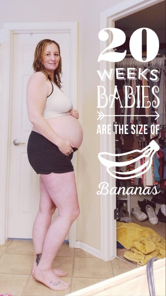 twin bump progression